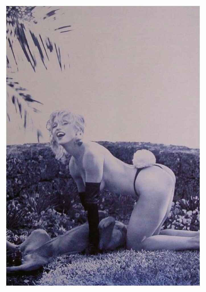 Madonna nue dans son Sexbook