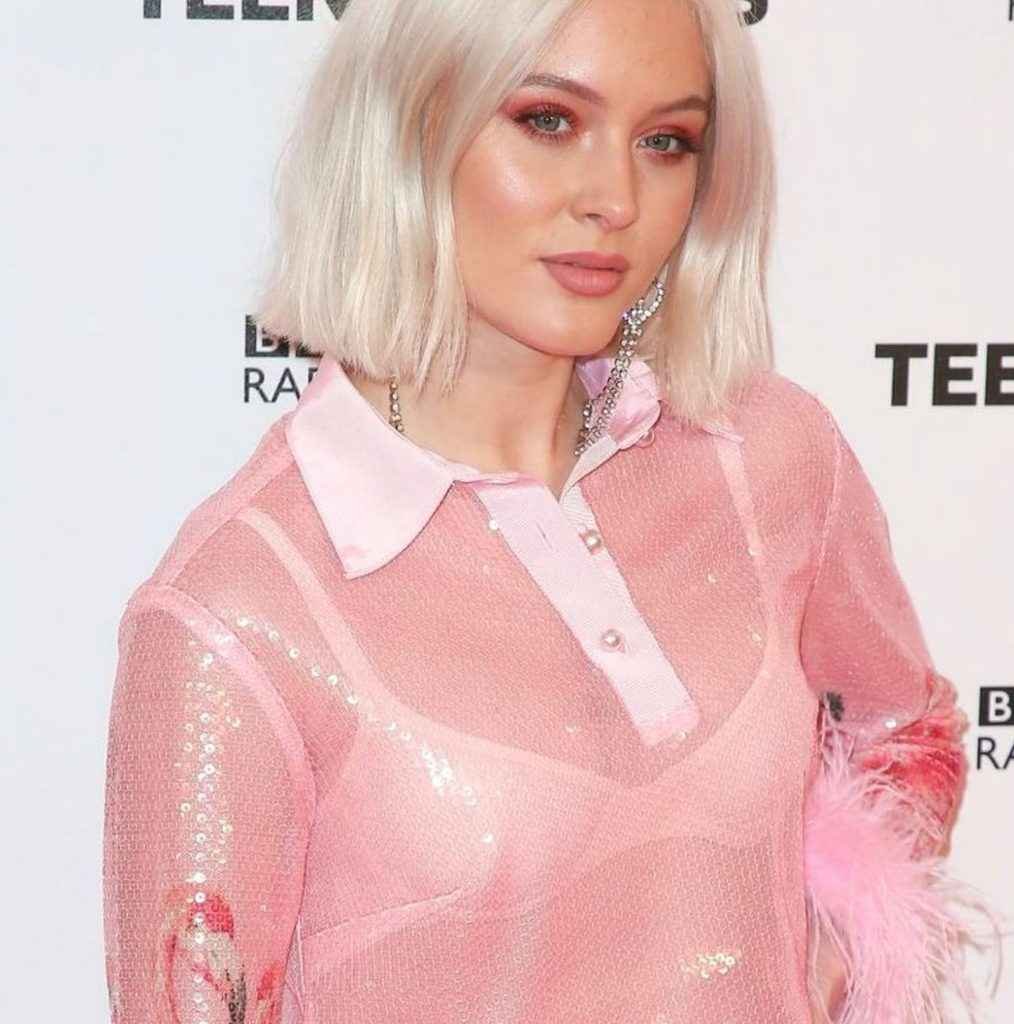 Zara Larsson exhibe son soutien-gorge et sa petite culotte aux BBC Teen Awards