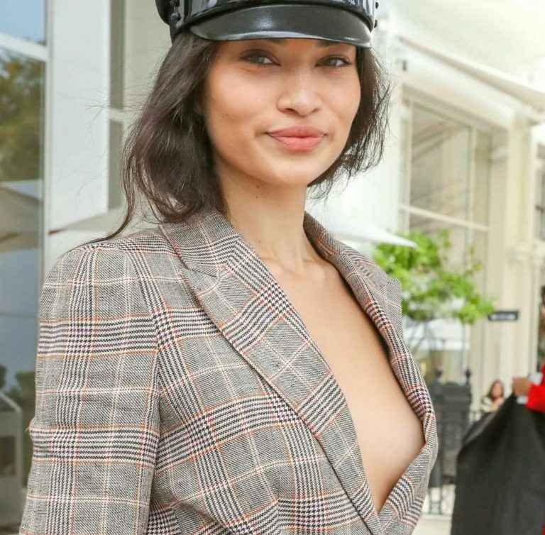 Shanina Shaik sans soutien-gorge à Cannes