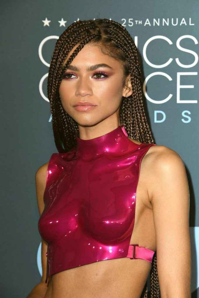 Zendaya sexy à Santa Monica