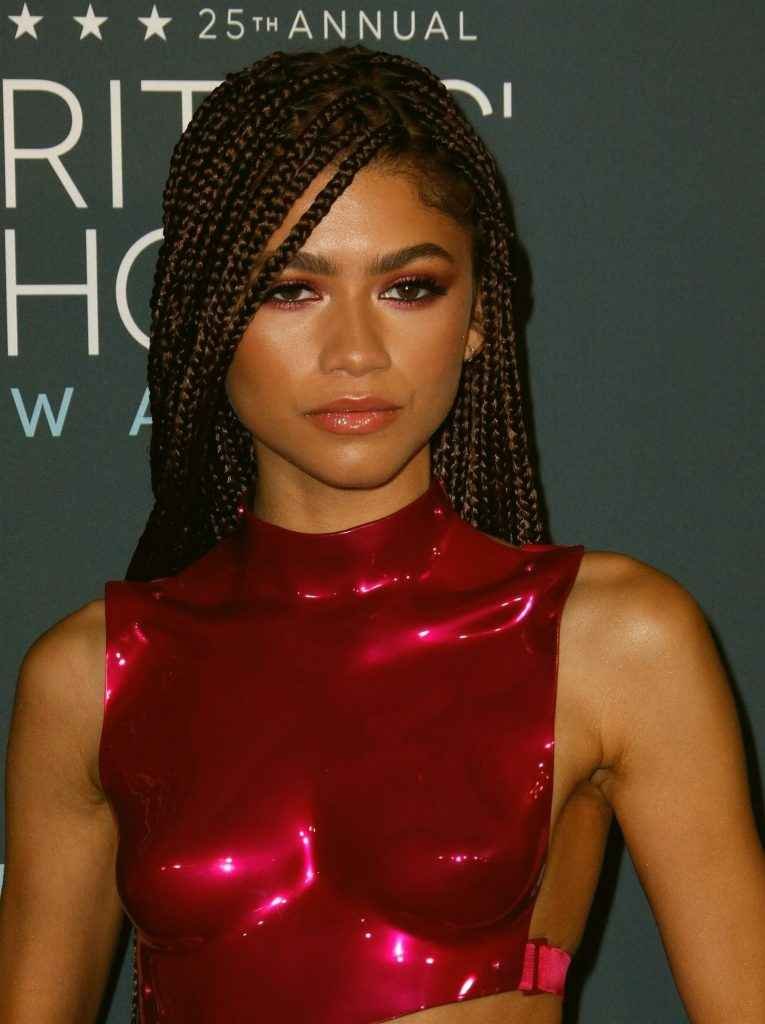 Zendaya sexy à Santa Monica