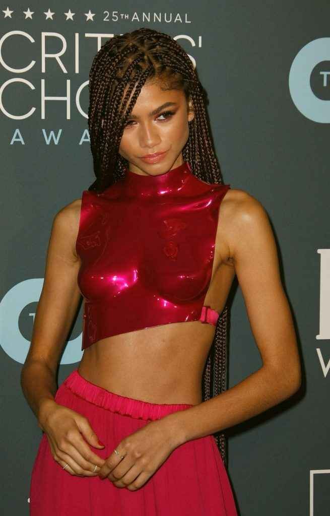 Zendaya sexy à Santa Monica