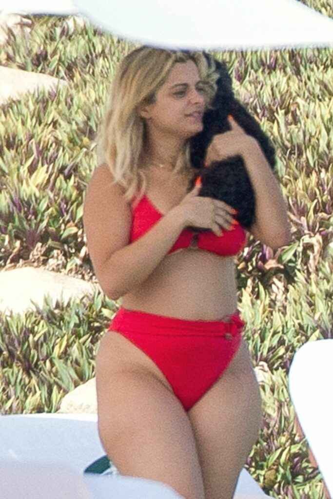 Bebe Rexha en bikini