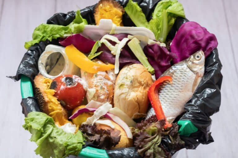 Comment réduire efficacement le gaspillage alimentaire dans la restauration rapide ?