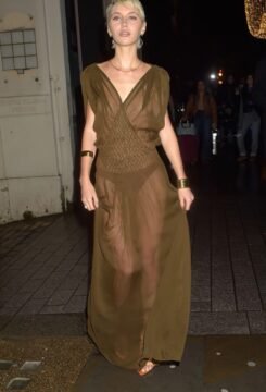 Iris Law en robe voyeur pour une soirée